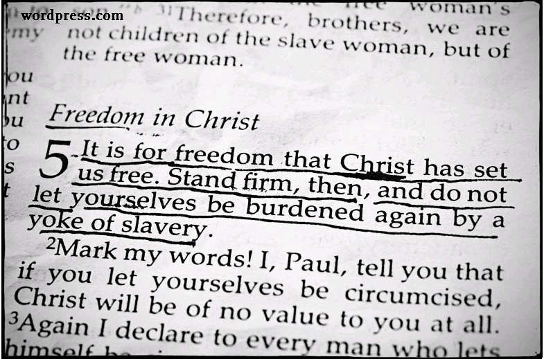 Freedom in Bible