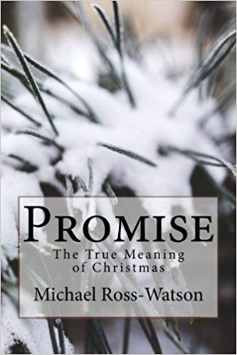 Cover buku Promise: The True Meaning of Christmas